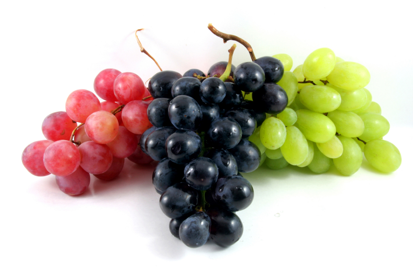 Resultado de imagen para uvas para el envejecimiento