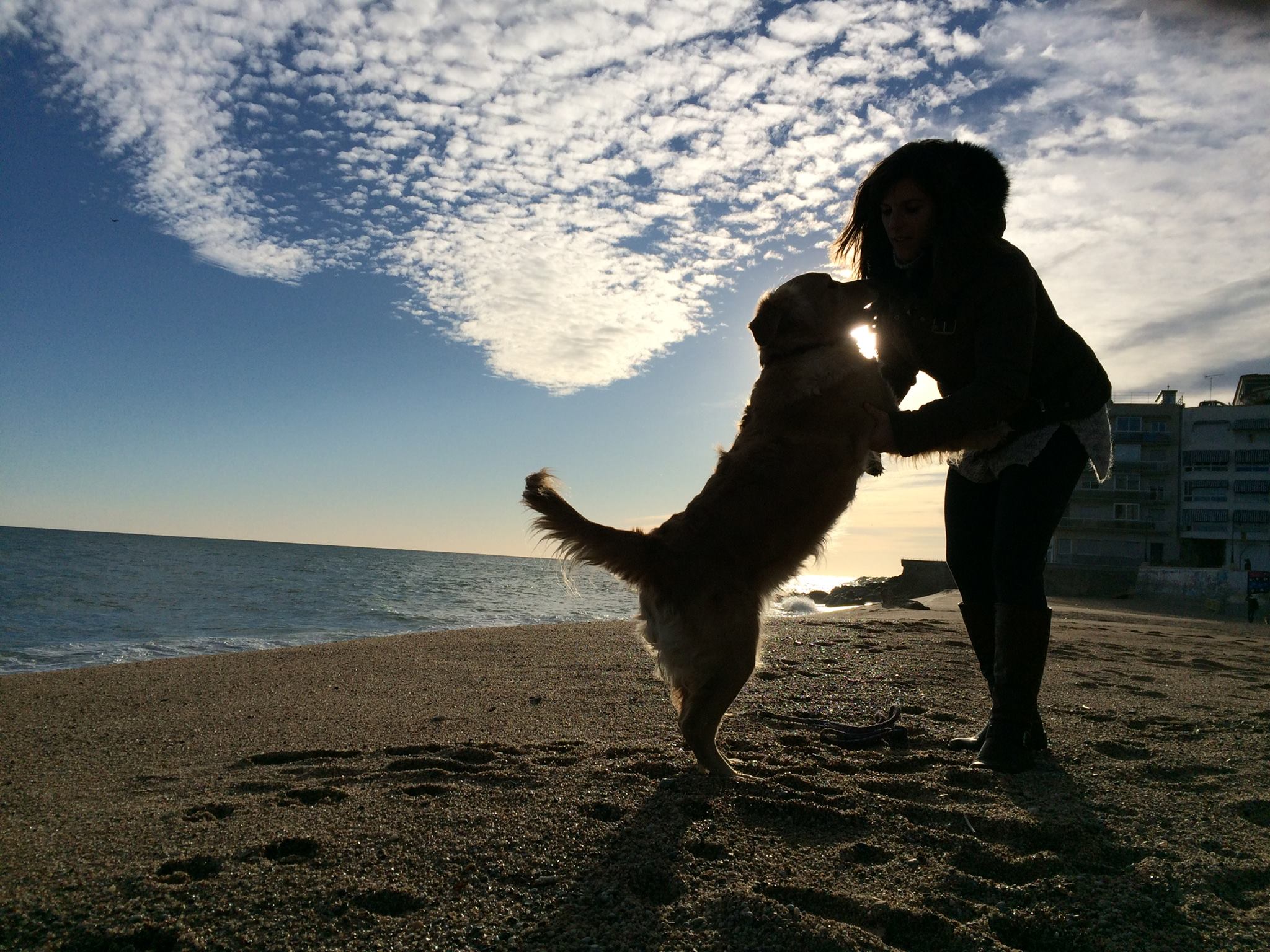 Resultado de imagen para personas y perros en la playa